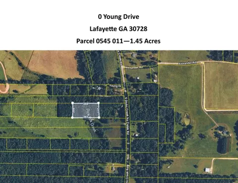 Young Dr Road