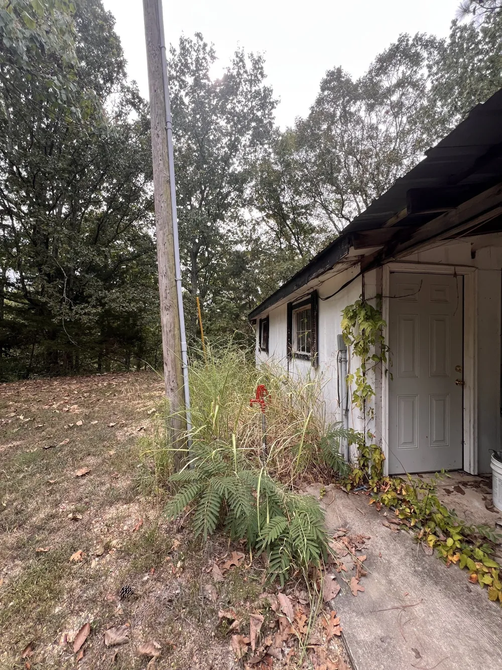 1865 Clydeton Rd Waverly, TN 37185