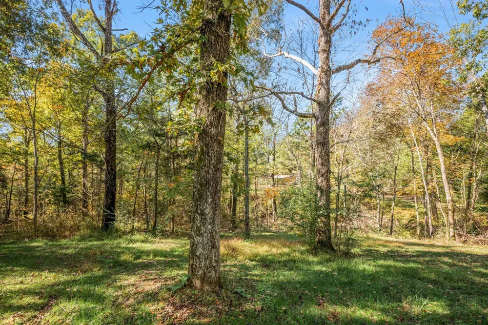 1865 Clydeton Rd Waverly, TN 37185