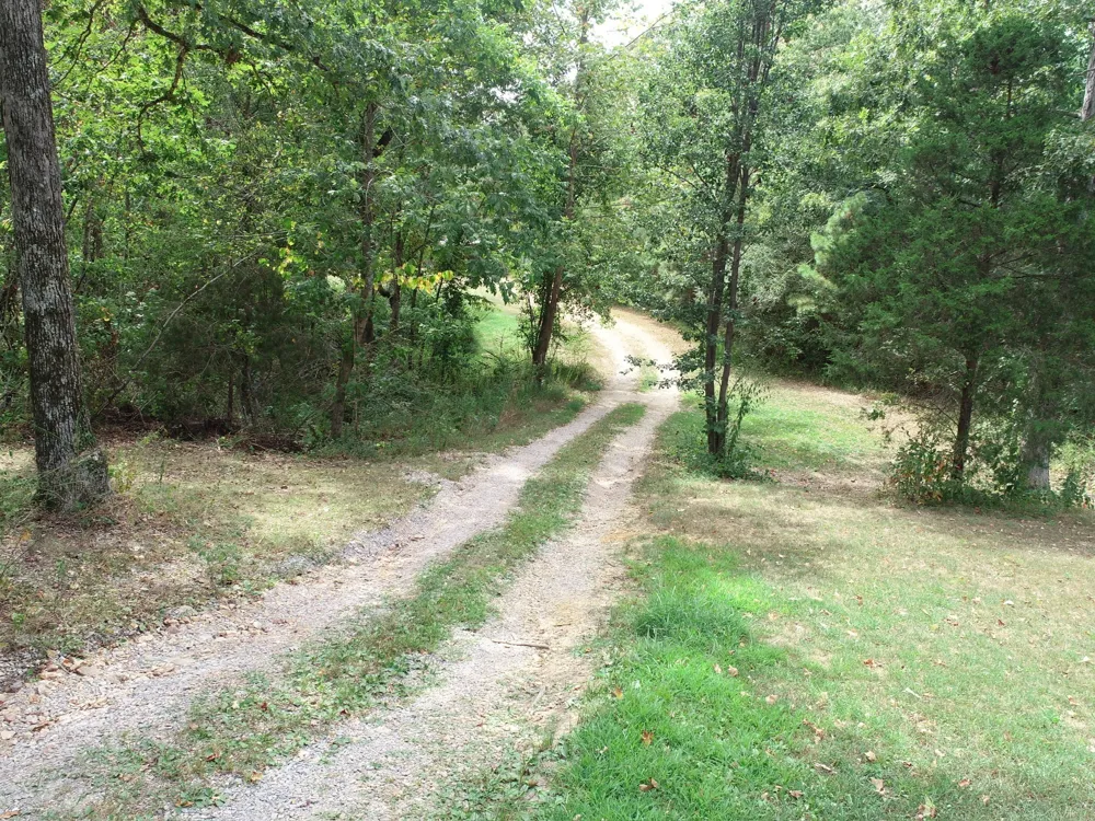 1865 Clydeton Rd Waverly, TN 37185