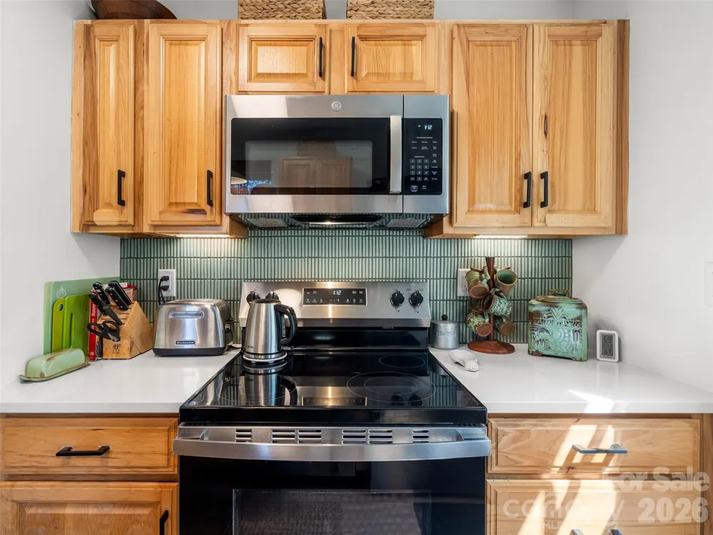 31 Elseetos Drive Brevard, NC 28712