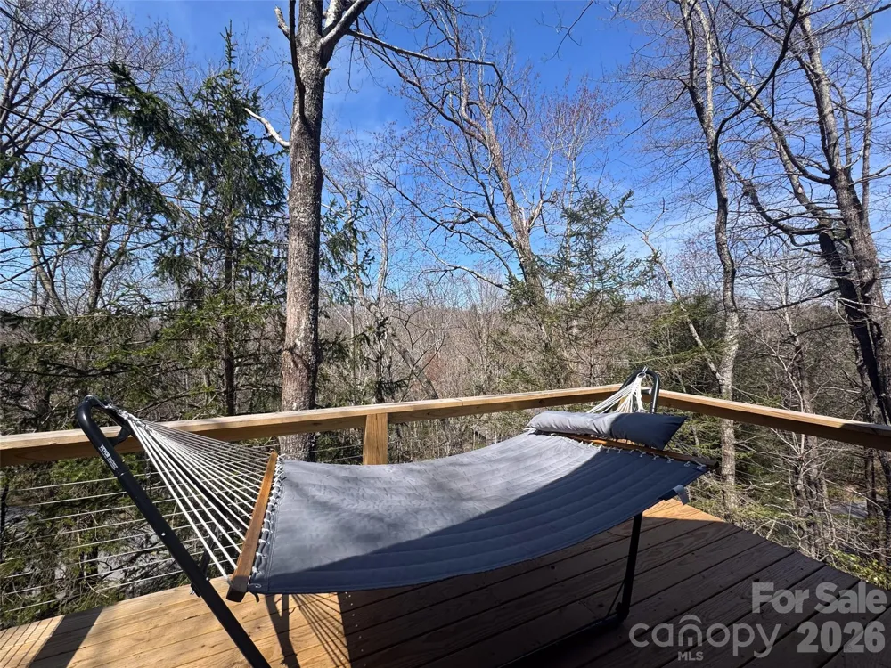 31 Elseetos Drive Brevard, NC 28712