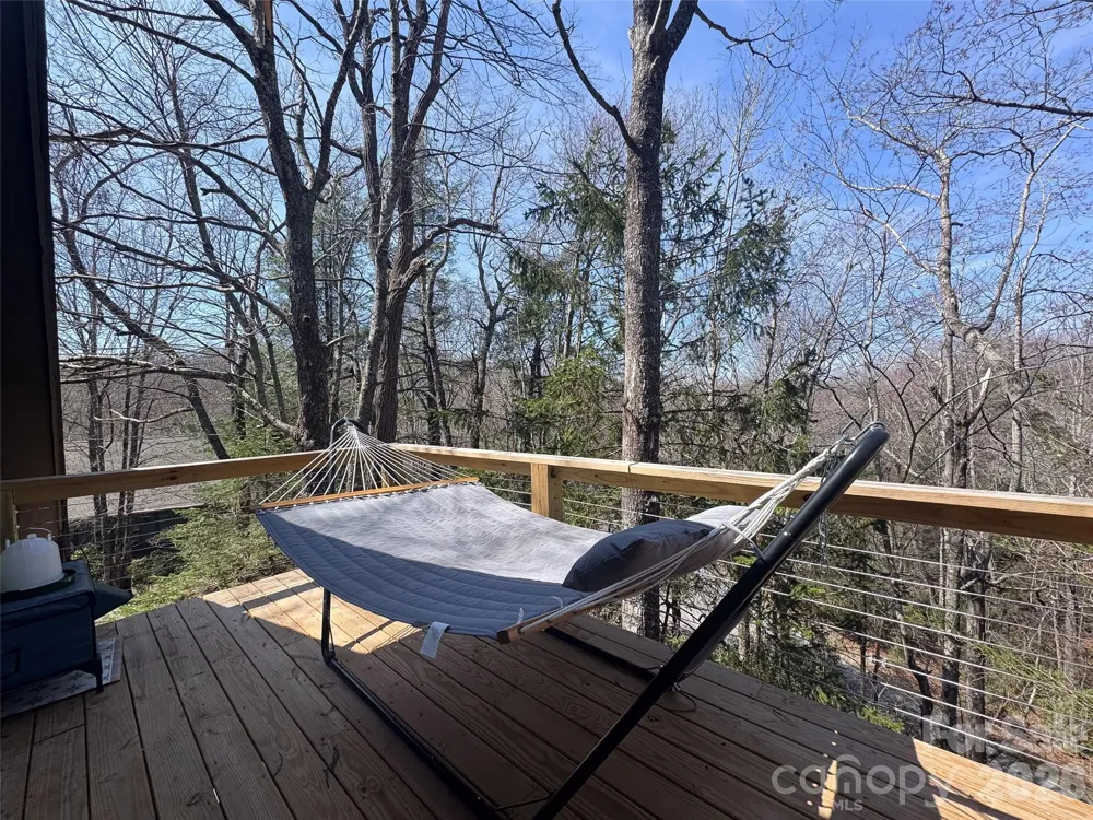 31 Elseetos Drive Brevard, NC 28712