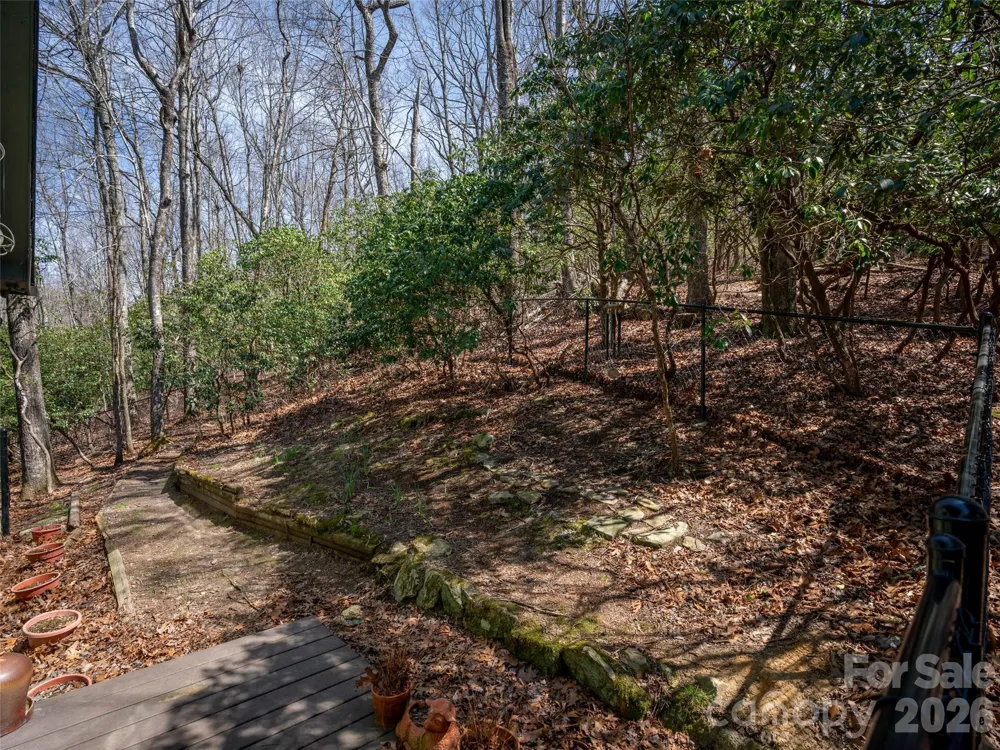 31 Elseetos Drive Brevard, NC 28712
