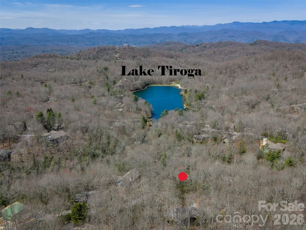 31 Elseetos Drive Brevard, NC 28712