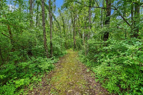 Forest Shores Drive ##9 Lot