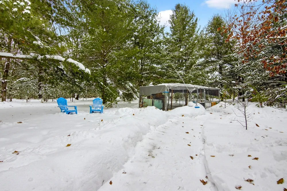 11775 Country Acres Drive Grant Township, MI 49643