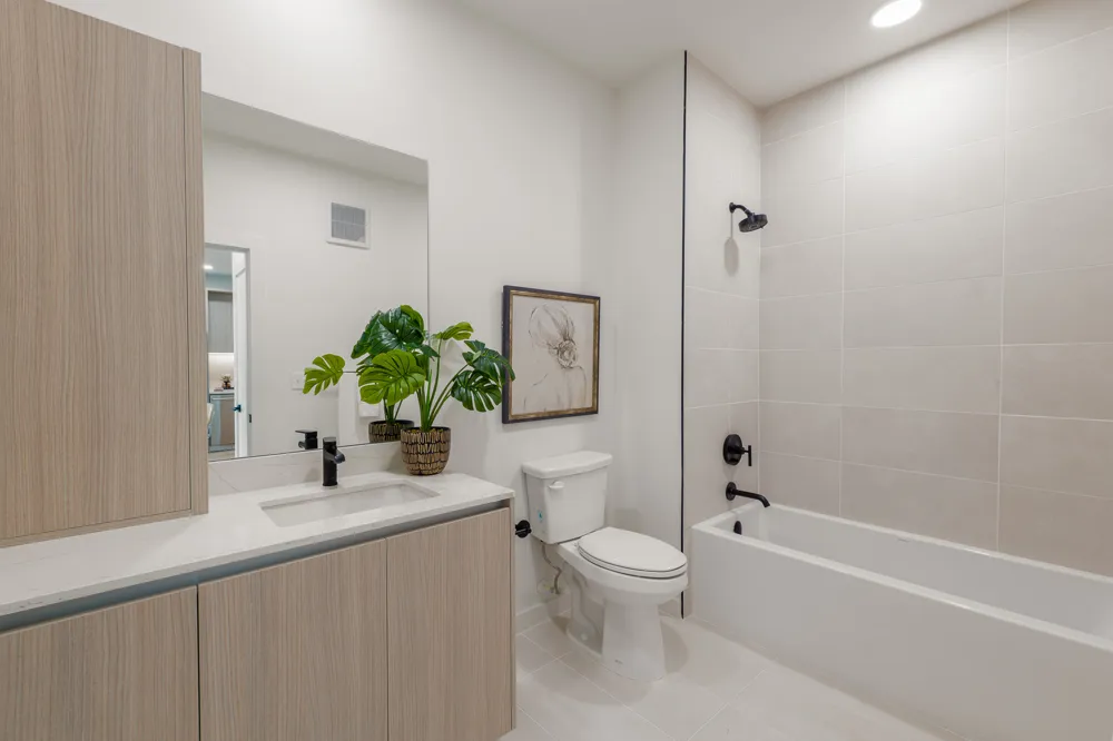 2209 S 1st Street #237 Austin, TX 78704