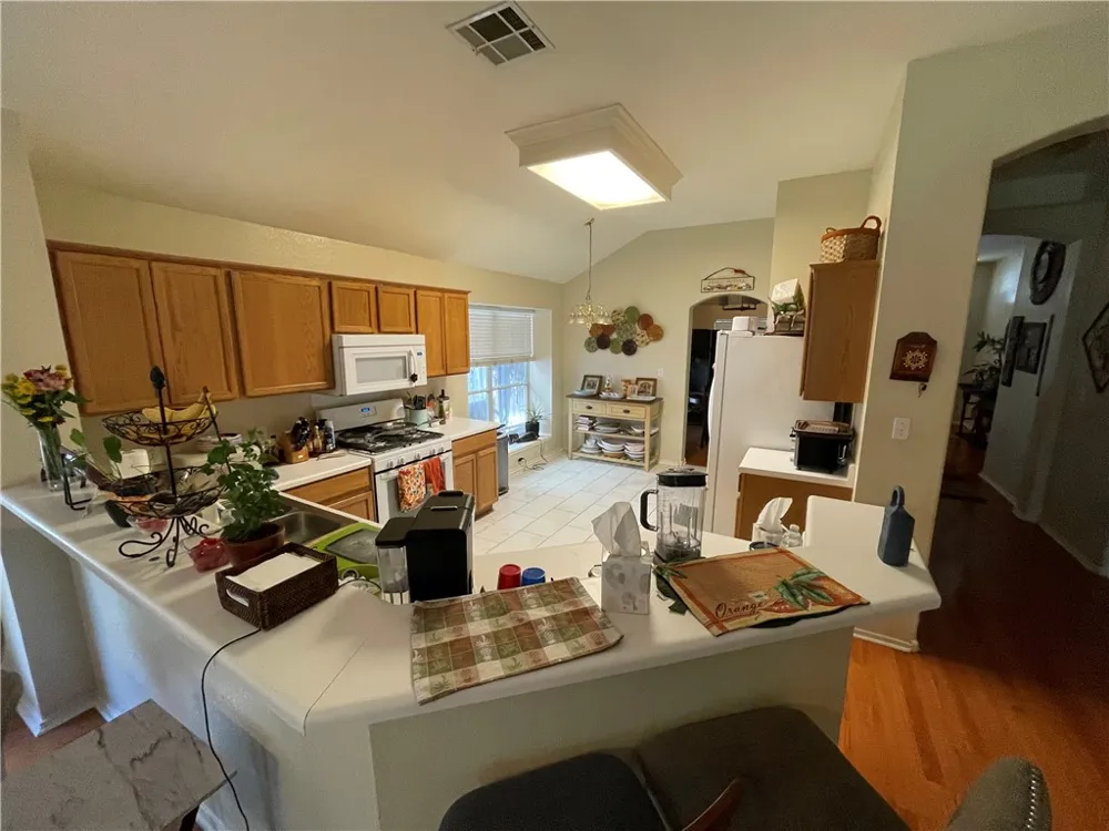 10309 Broomflower Drive Austin, TX 78739