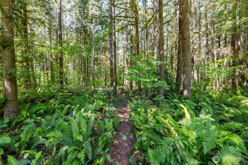 8738 Timberland Court Concrete, WA 98237
