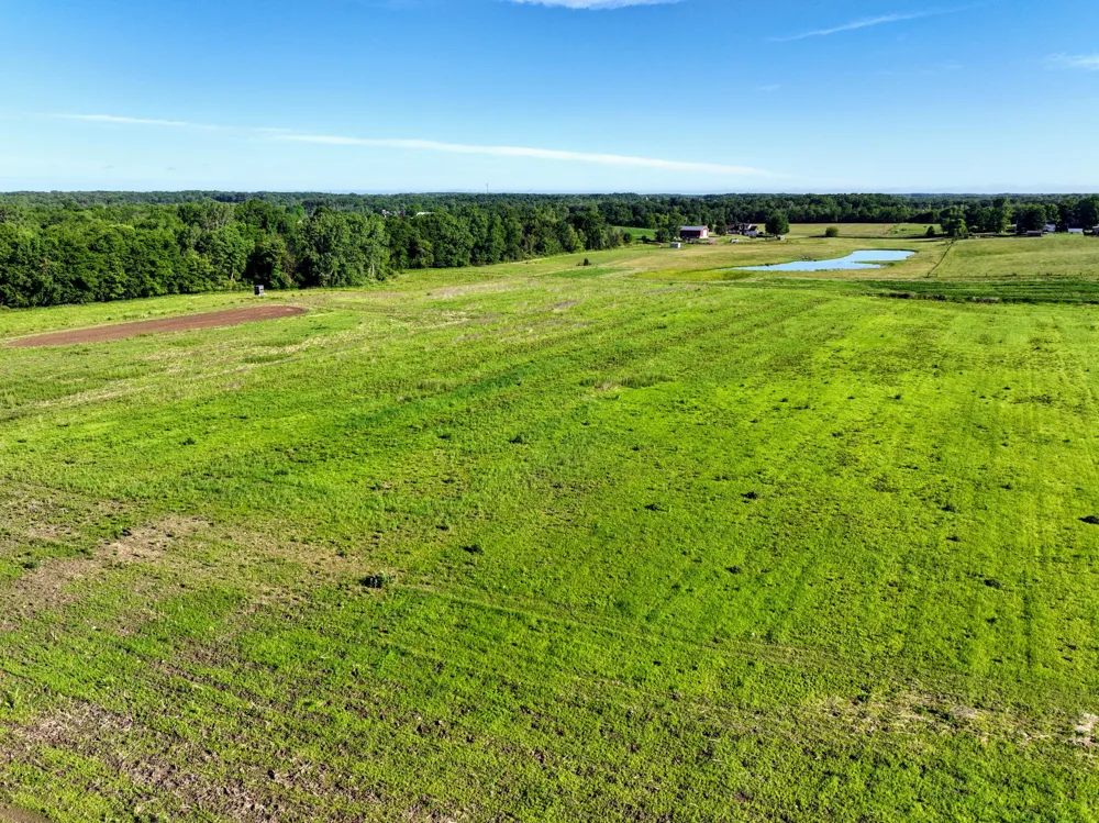 2189 W Vermontville Highway Chester Township, MI 48813