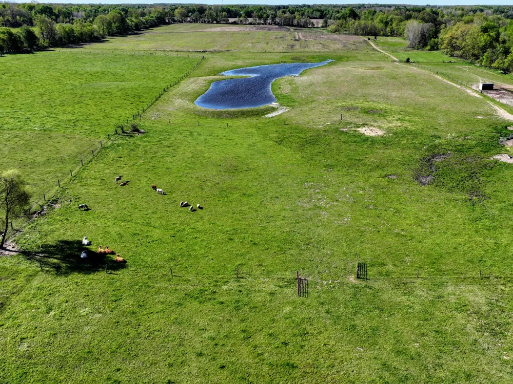2189 W Vermontville Highway Chester Township, MI 48813