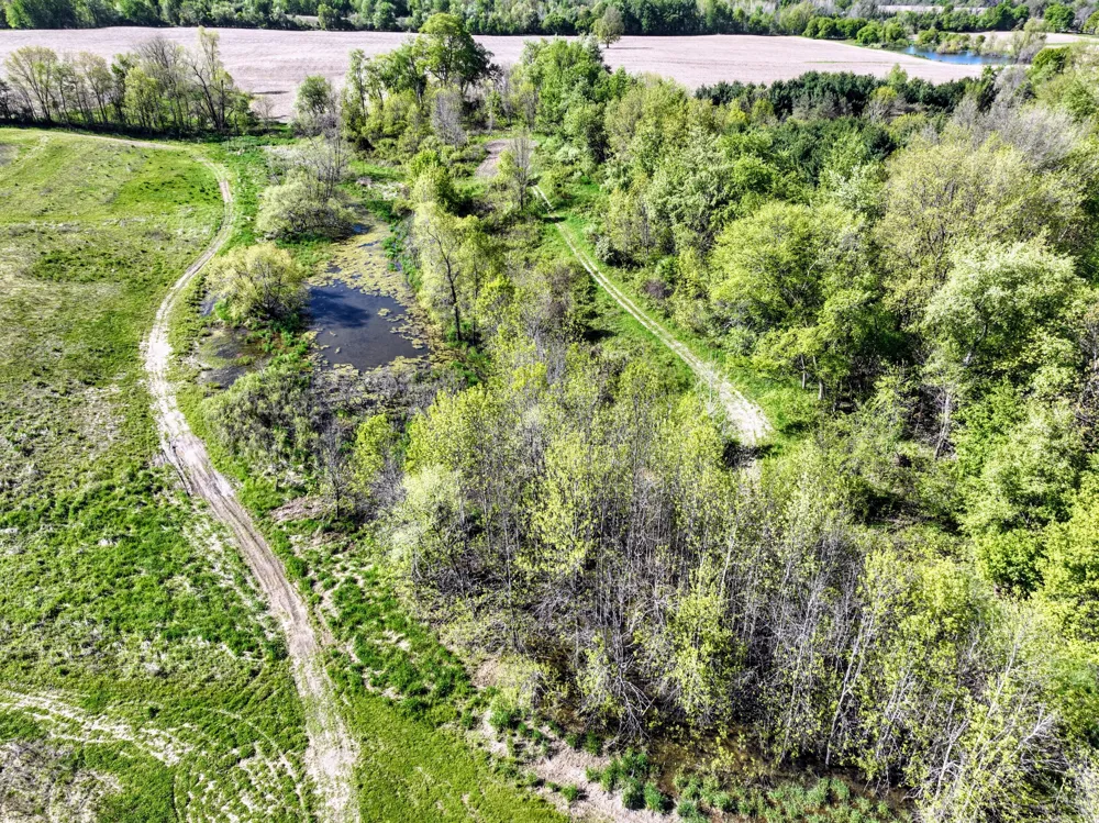 2189 W Vermontville Highway Chester Township, MI 48813
