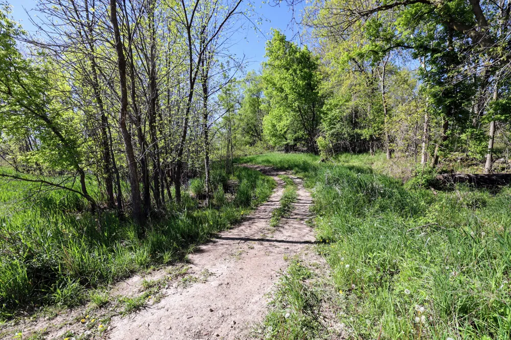 2189 W Vermontville Highway Chester Township, MI 48813