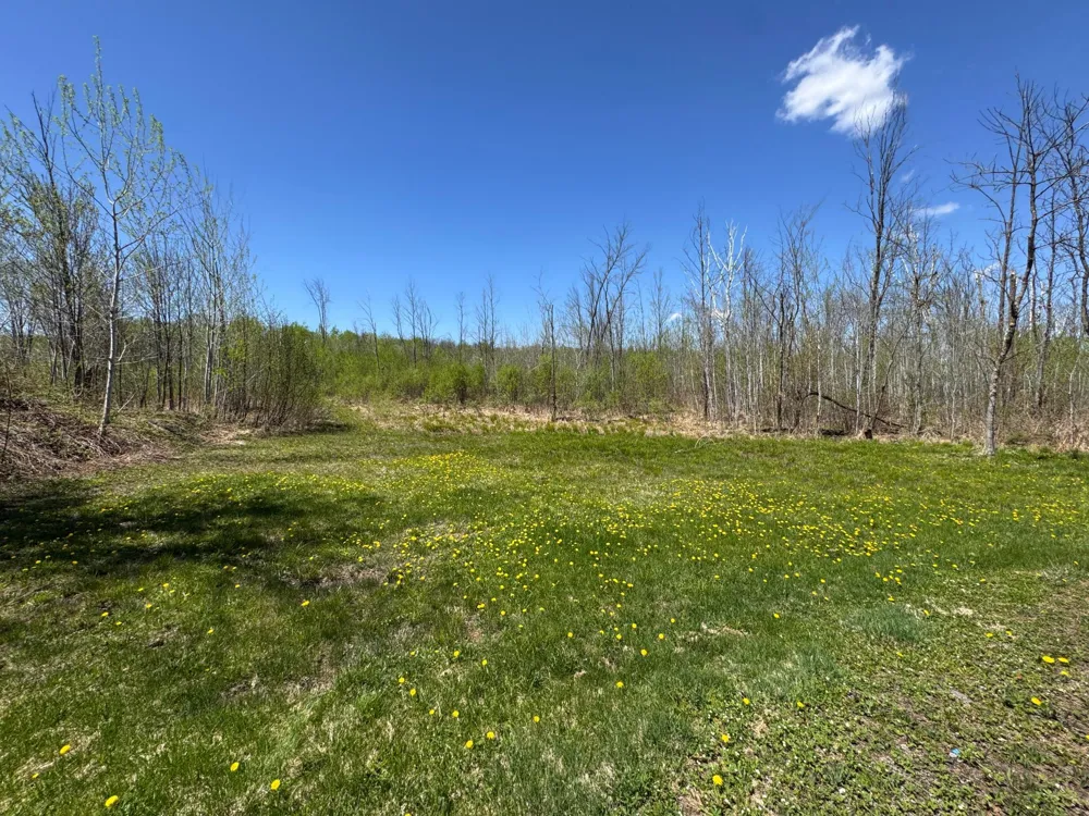 7233 Brown Road Kettle River, MN 55757