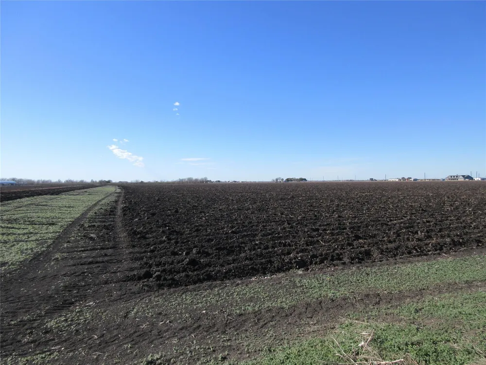 Bj Dusek Road Wallis, TX 77485