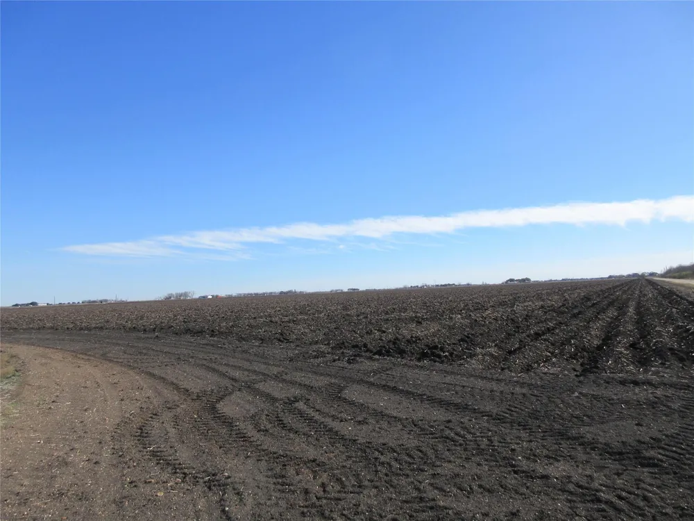 Bj Dusek Road Wallis, TX 77485
