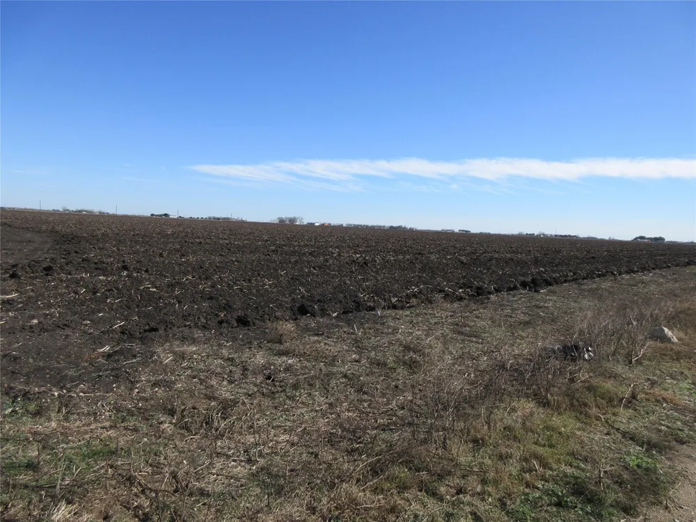 Bj Dusek Road Wallis, TX 77485