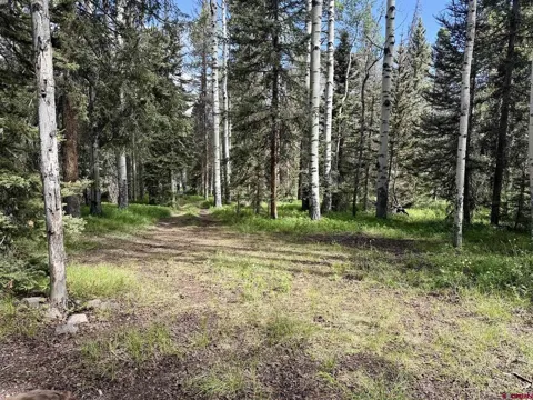 425 Aspen Trail