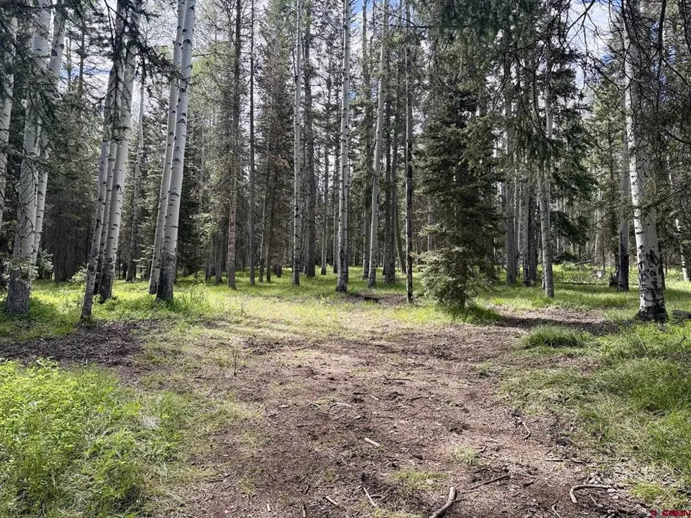 425 Aspen Trail Cimarron, CO 81220