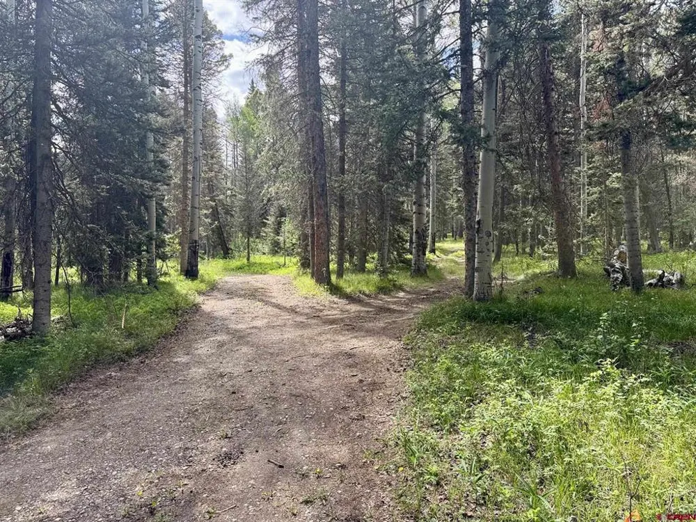 425 Aspen Trail Cimarron, CO 81220