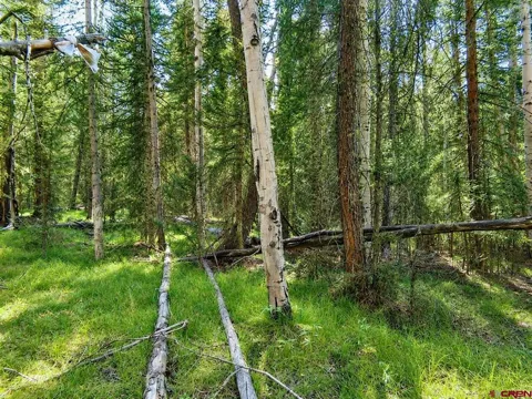 445 Aspen Trail