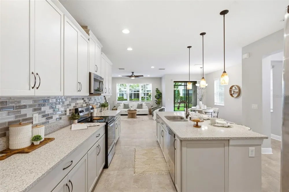 30040 SOUTHWELL LANE Wesley Chapel, FL 33543