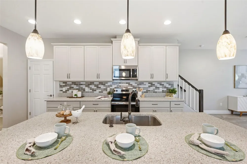 30040 SOUTHWELL LANE Wesley Chapel, FL 33543