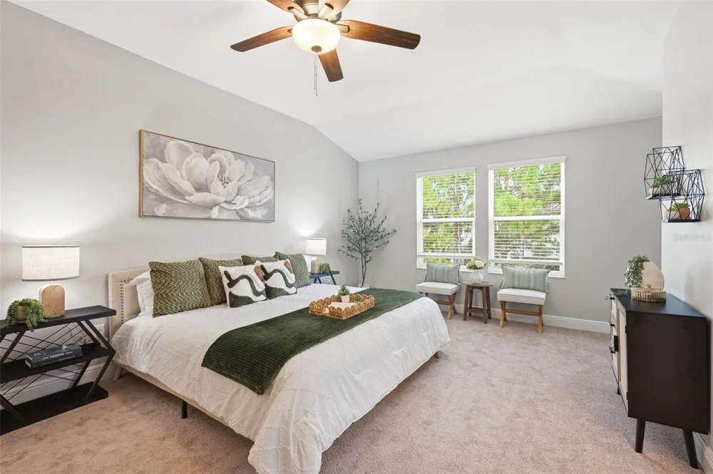 30040 SOUTHWELL LANE Wesley Chapel, FL 33543