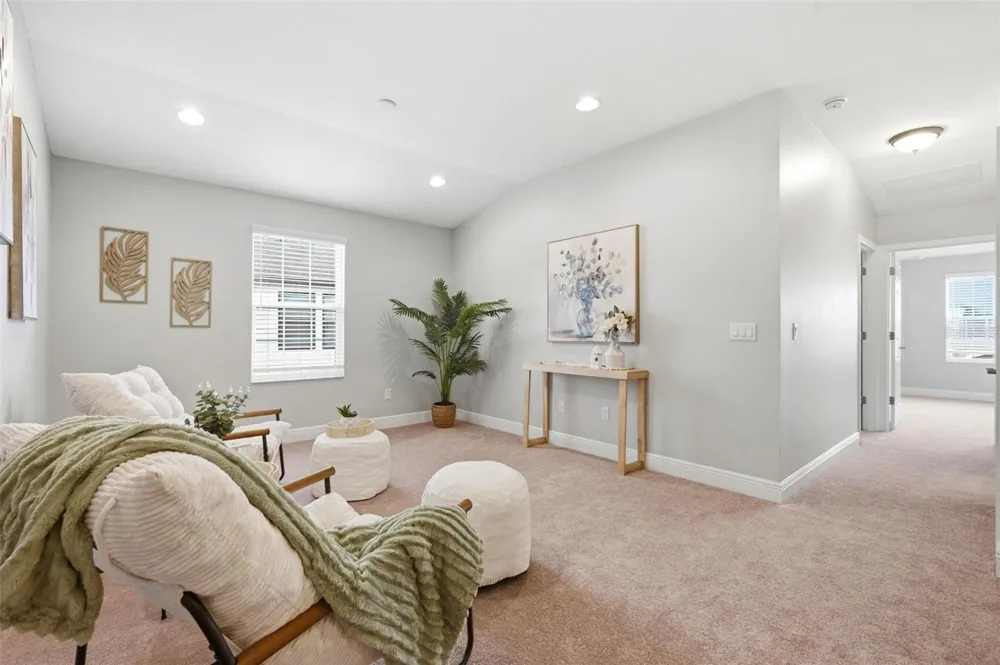 30040 SOUTHWELL LANE Wesley Chapel, FL 33543