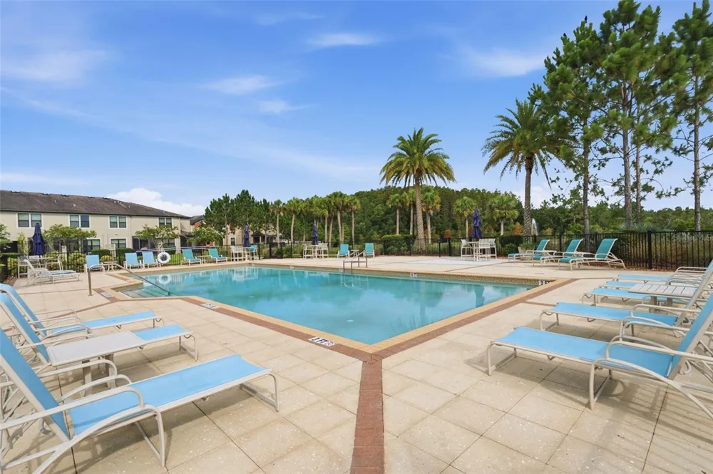 30040 SOUTHWELL LANE Wesley Chapel, FL 33543