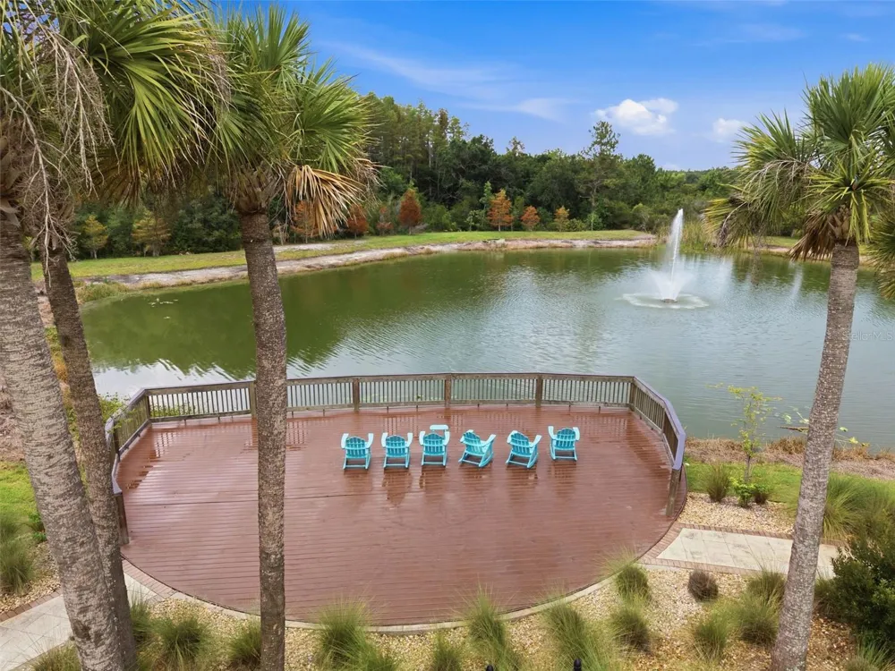 30040 SOUTHWELL LANE Wesley Chapel, FL 33543