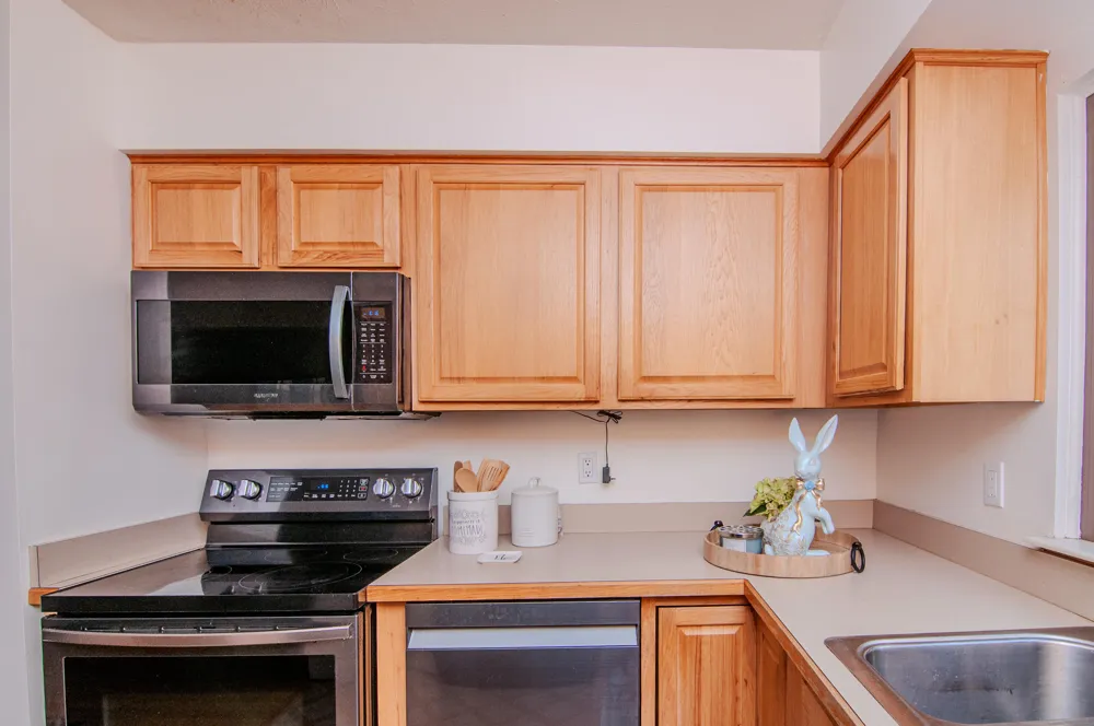 1325 Chartwell Carriage Way S East Lansing City, MI 48823