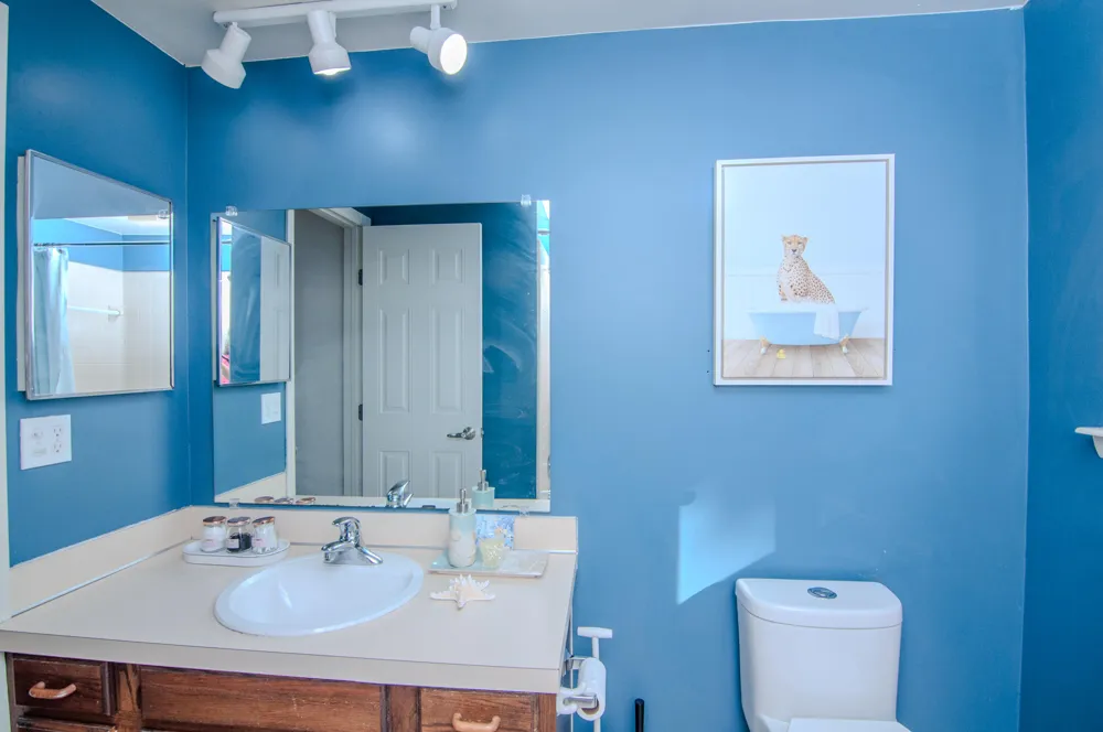 1325 Chartwell Carriage Way S East Lansing City, MI 48823