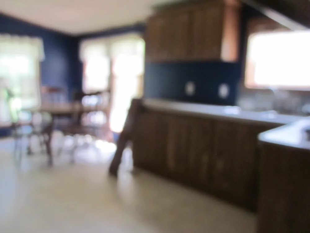 18810 49th Street Columbia Township, MI 49056