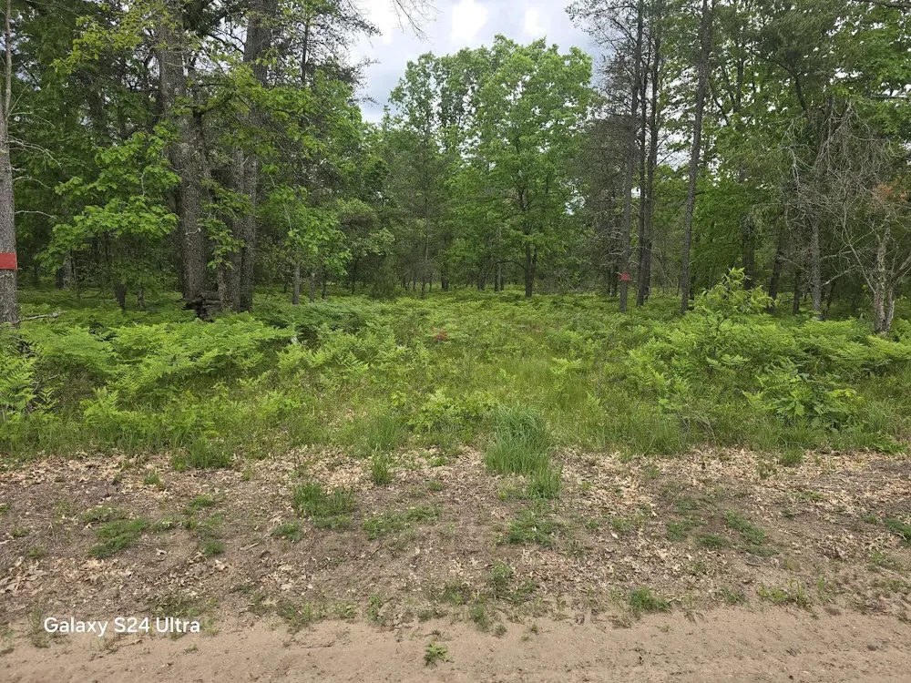 S Forman Road #3 Baldwin, MI 49304