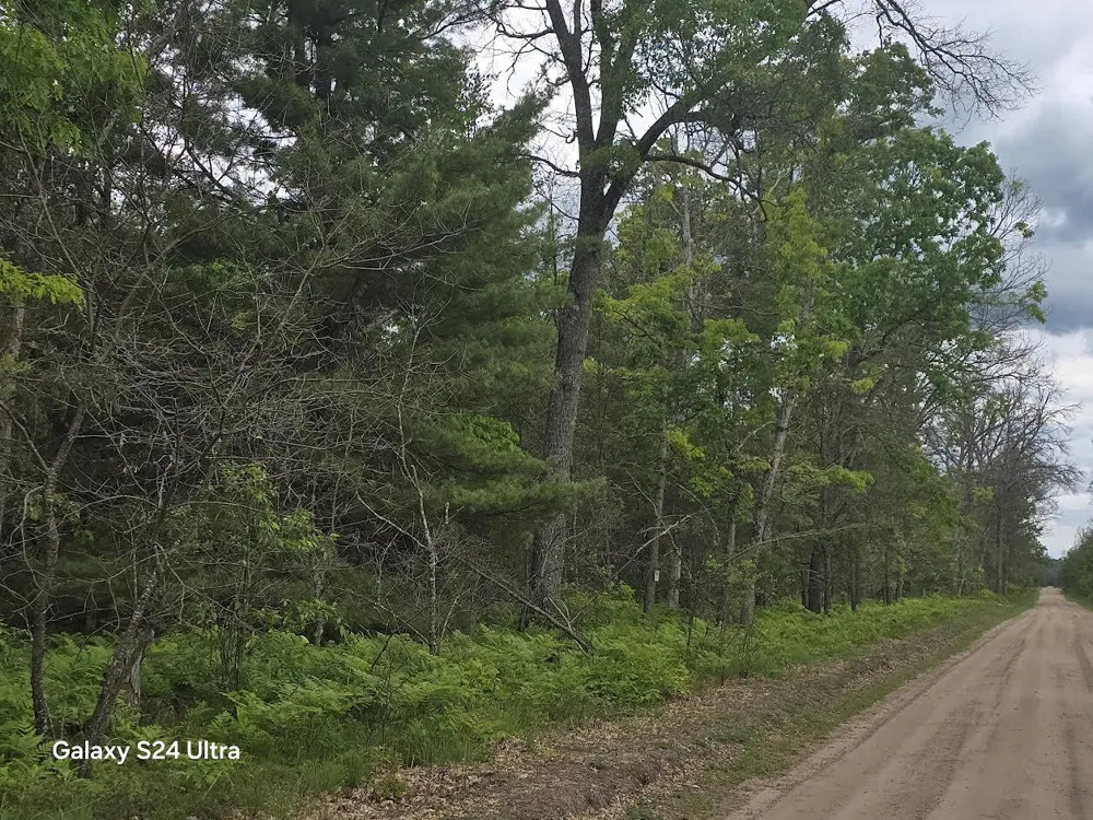 S Forman Road #3 Baldwin, MI 49304