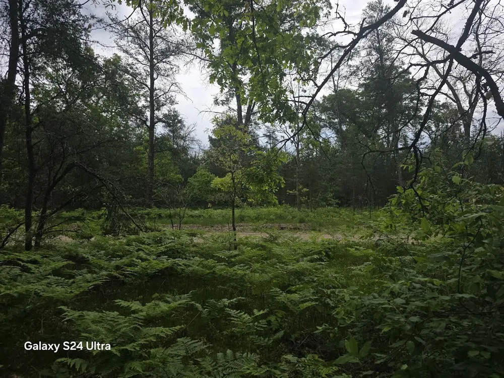 S Forman Road #3 Baldwin, MI 49304