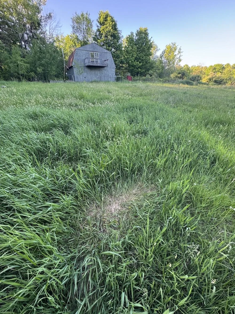 Melcher Road Prescott, MI 48756