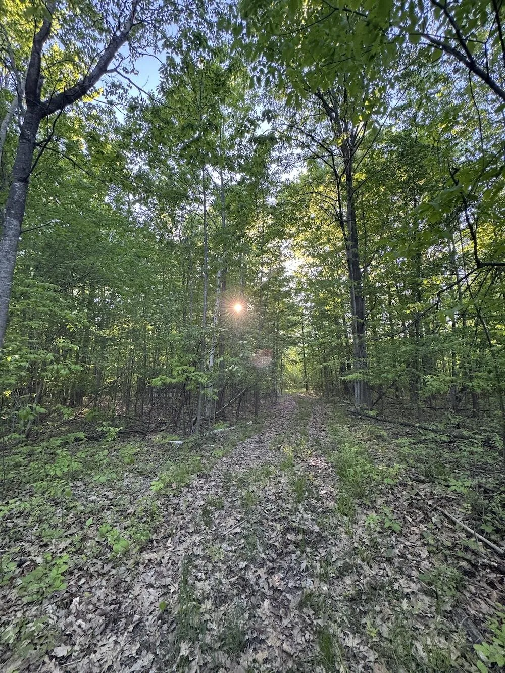 Melcher Road Prescott, MI 48756