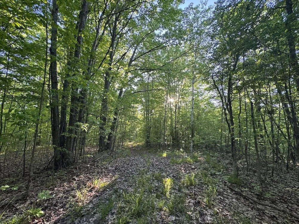Melcher Road Prescott, MI 48756