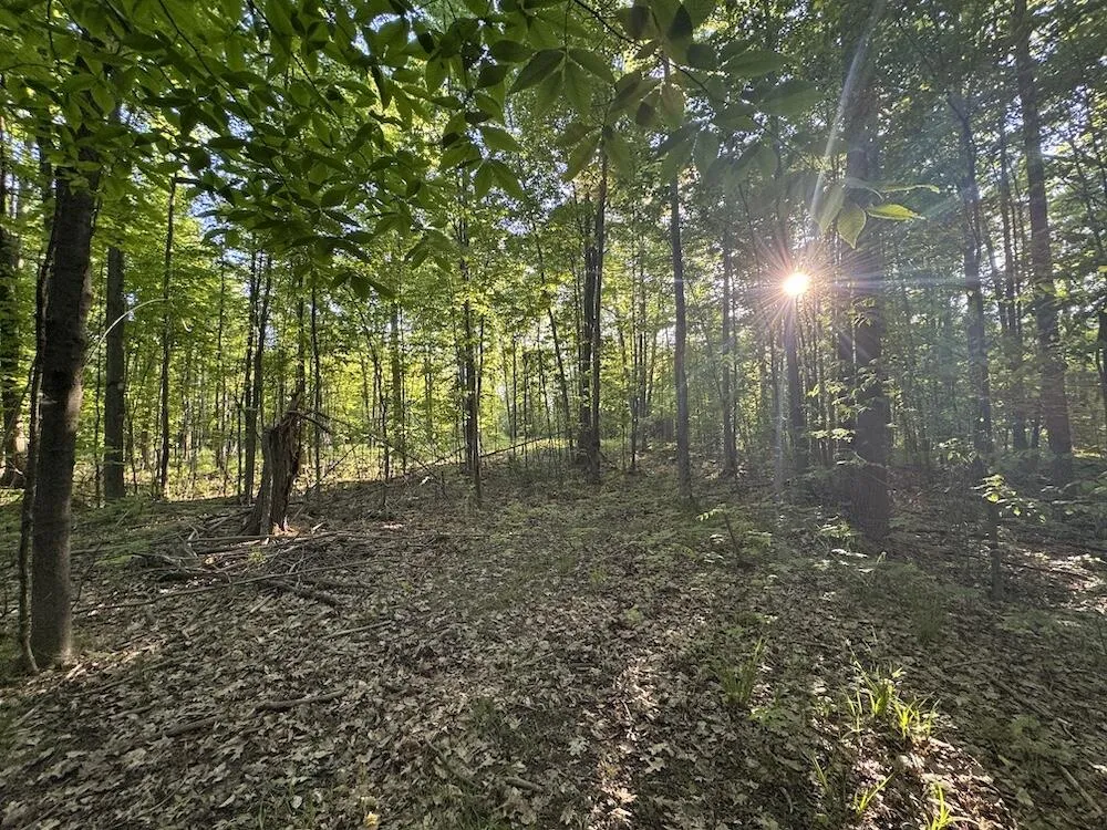 Melcher Road Prescott, MI 48756