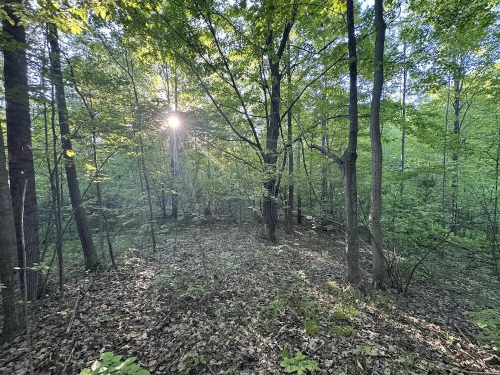 Melcher Road Prescott, MI 48756