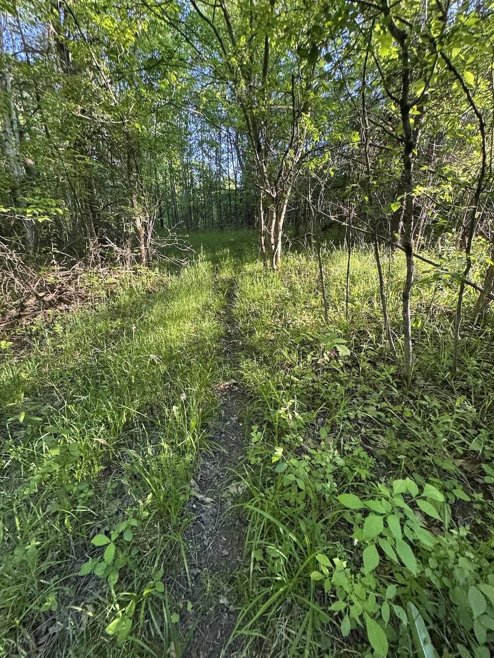 Melcher Road Prescott, MI 48756