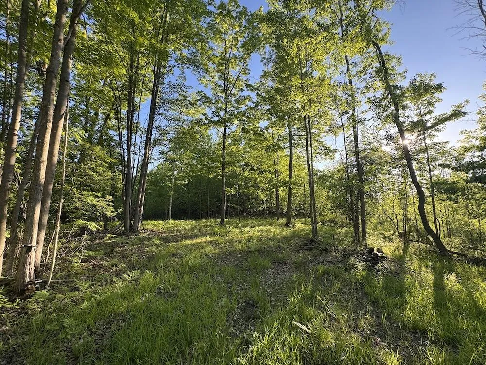 Melcher Road Prescott, MI 48756