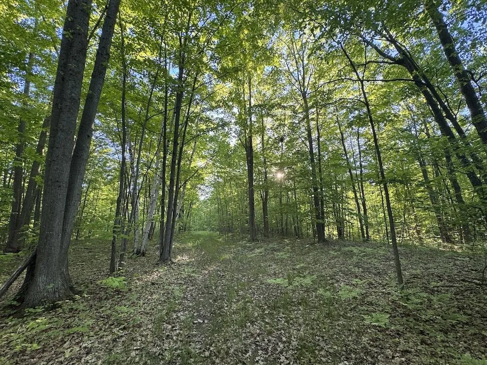 Melcher Road Prescott, MI 48756
