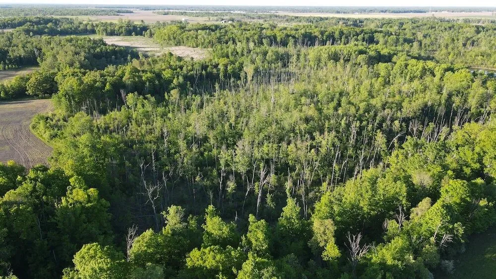Melcher Road Prescott, MI 48756