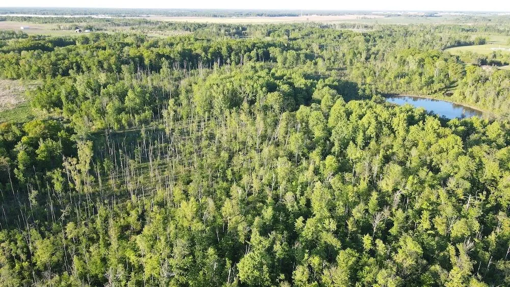 Melcher Road Prescott, MI 48756