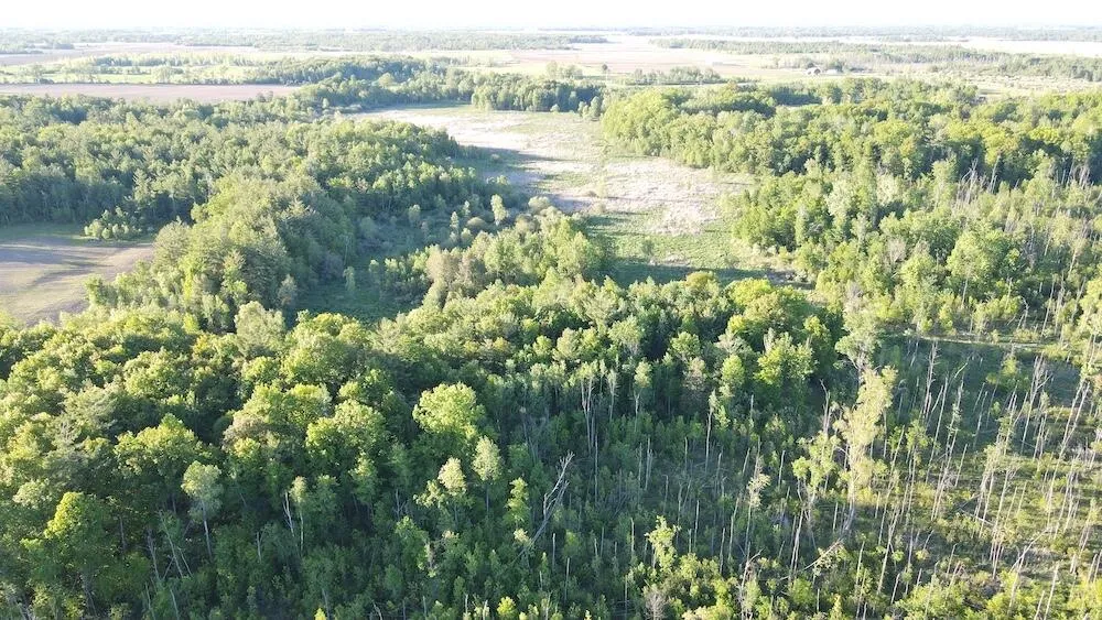 Melcher Road Prescott, MI 48756