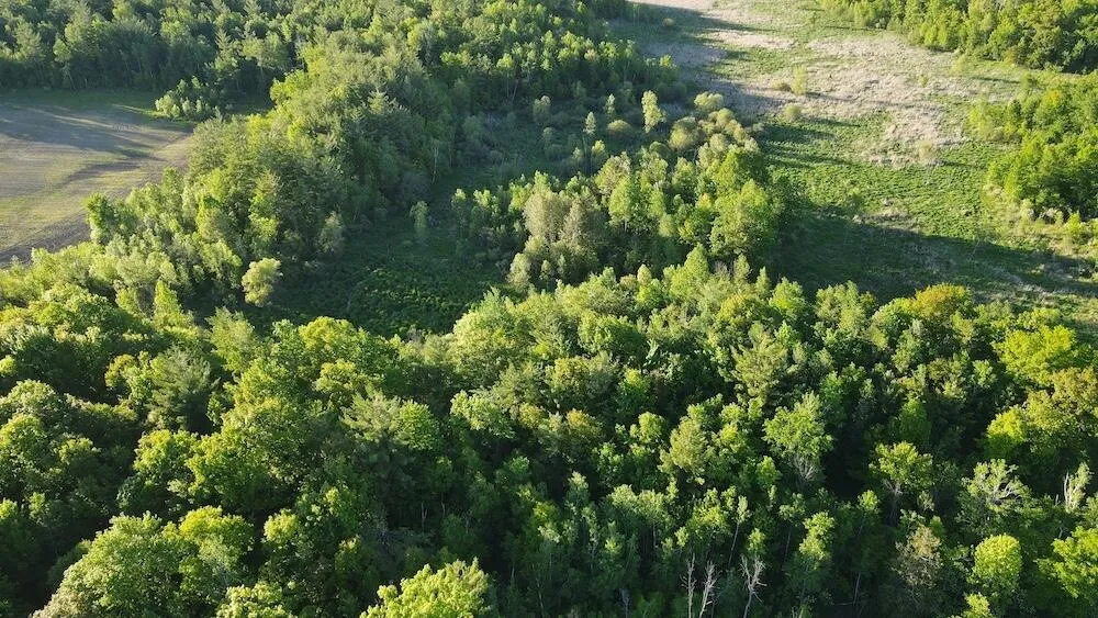 Melcher Road Prescott, MI 48756